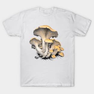 Fall Harvest: Chanterelle Mushrooms T-Shirt